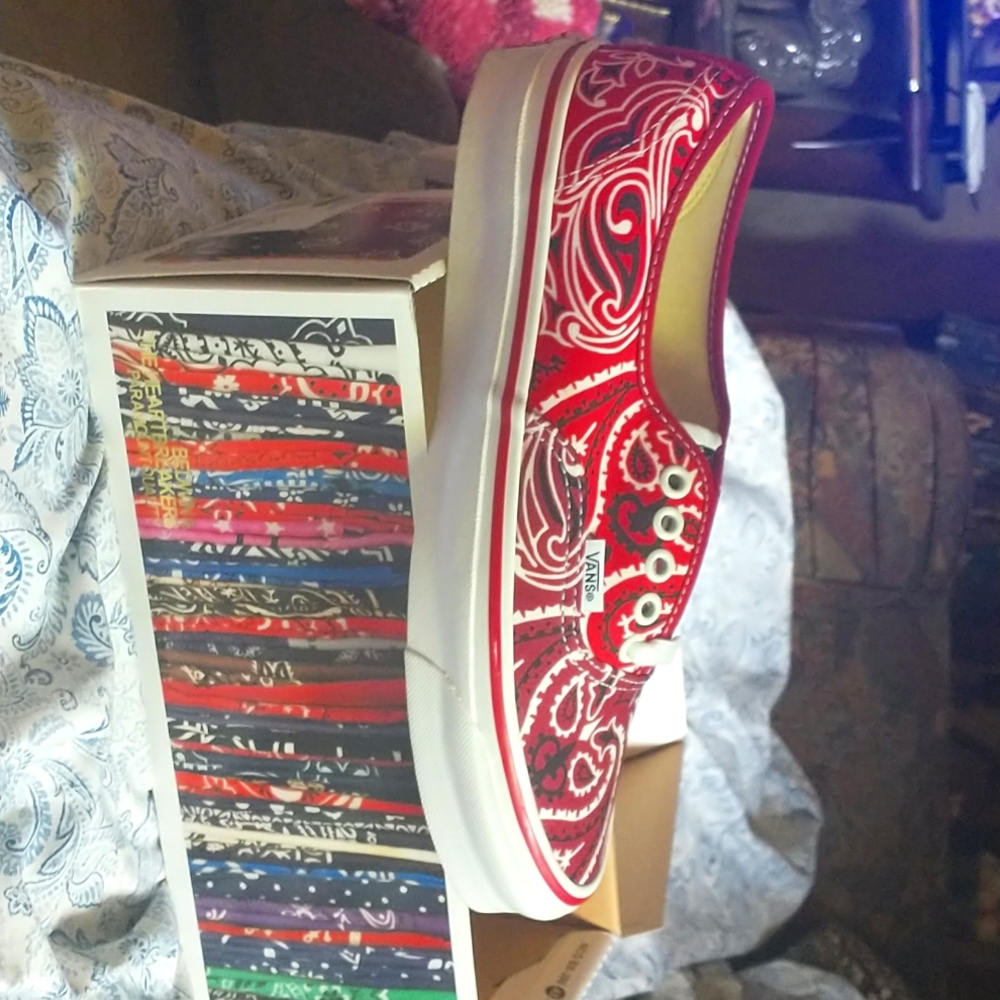Red rag pattern vans shoes